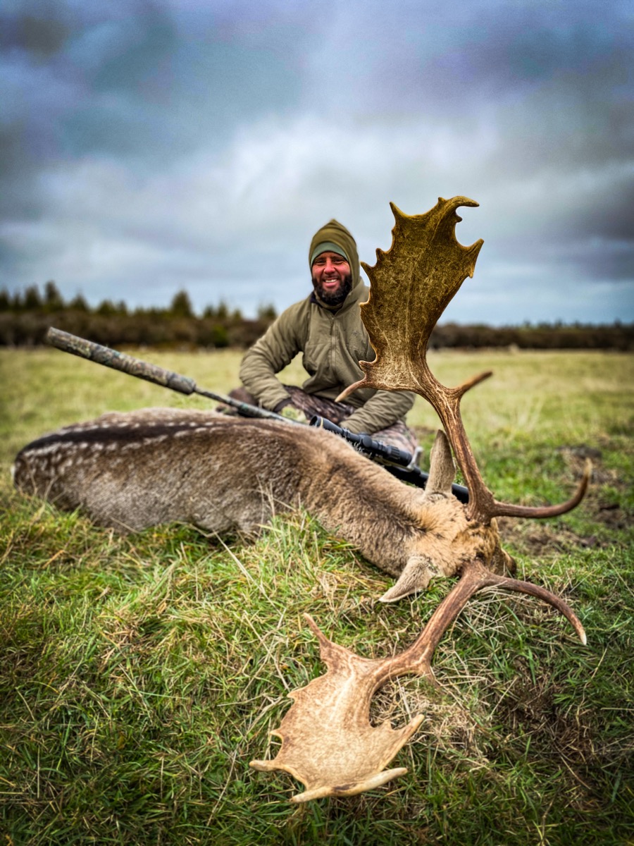 Fallow buck trophy taken by a hunter at Lahar (1)