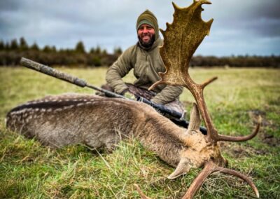 Fallow buck trophy taken by a hunter at Lahar (1)