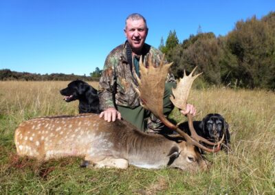 Fallow buck trophy taken by a hunter at Lahar (8)