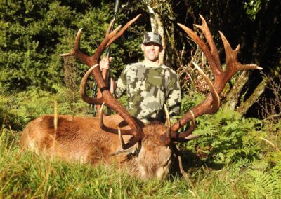 Red stag trophy taken by a hunter at Lahar (17)