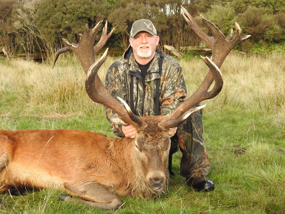 Red Stag Trophy2 Red stag trophy taken by a hunter at Lahar (2)