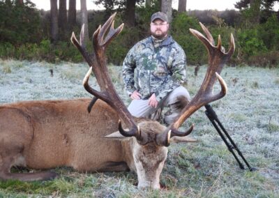 Red stag trophy taken by a hunter at Lahar (4)