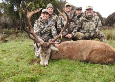 Red stag trophy taken by a hunter at Lahar (5)