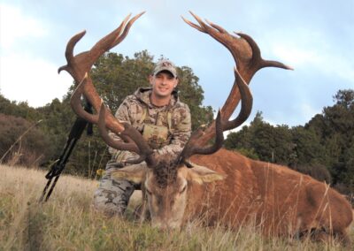 Red stag trophy taken by a hunter at Lahar (9)
