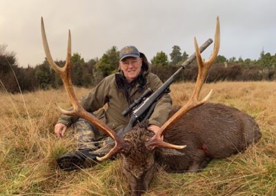 Sika stag trophy taken by a hunter at Lahar (10)