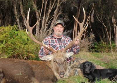 Sika stag trophy taken by a hunter at Lahar (2)