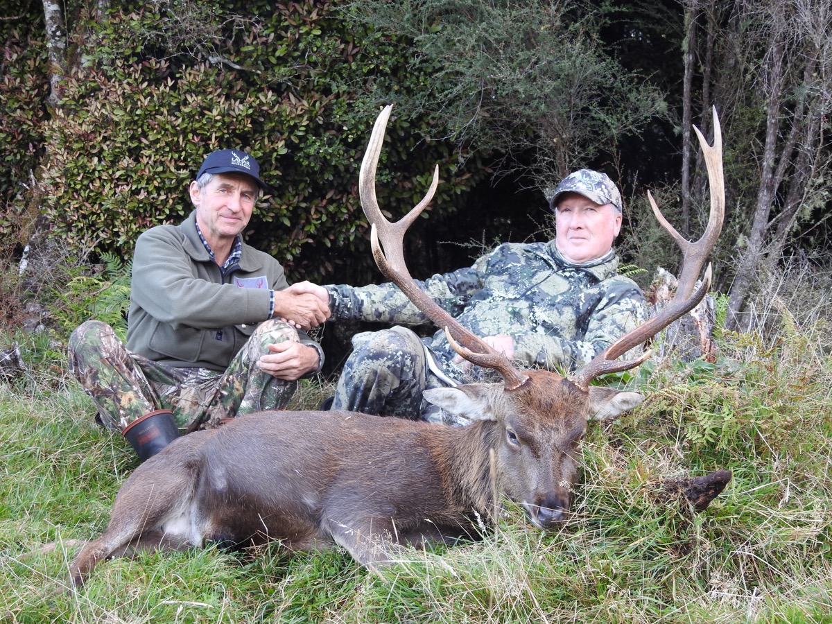 Sika stag trophy taken by a hunter at Lahar (4)
