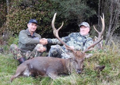 Sika stag trophy taken by a hunter at Lahar (4)