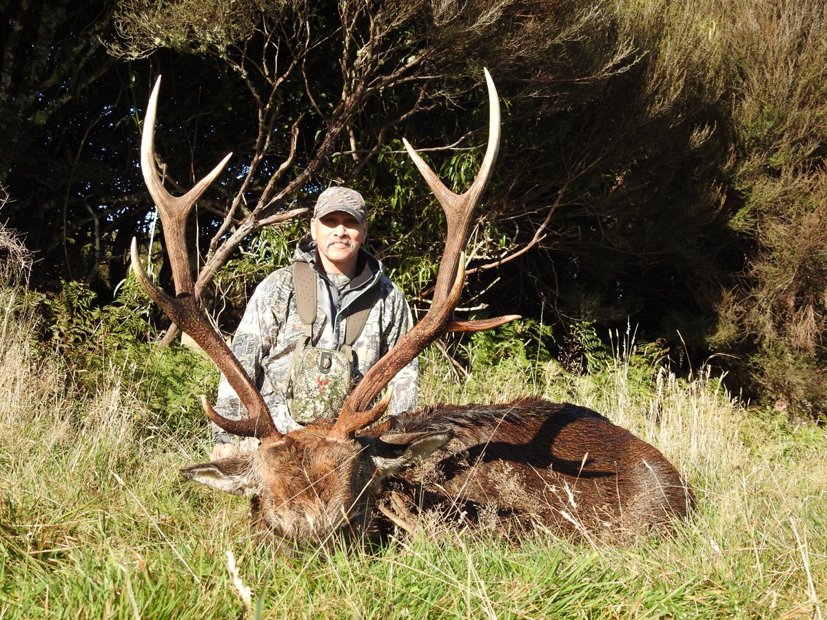 Sika stag trophy taken by a hunter at Lahar (5)