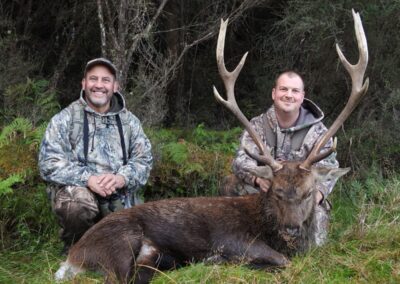 Sika stag trophy taken by a hunter at Lahar (6)