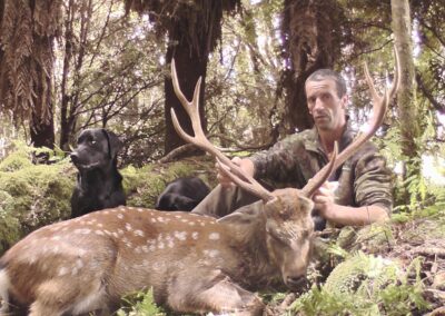 Sika stag trophy taken by a hunter at Lahar (7)