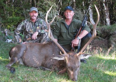 Sika stag trophy taken by a hunter at Lahar (8)
