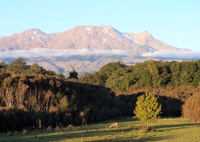 The Lahar property — native forest, clearings and mountain views (1)